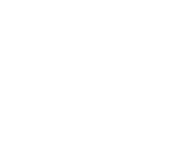 naturalnie logo biale 160h